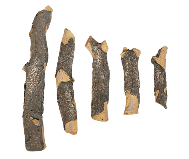 Grand Canyon Blue Pine Split Twig Set