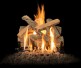 Grand Canyon Arizona Juniper Outdoor See-Thru Gas Log Set