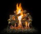 Grand Canyon Arizona Weather Oak Charred Outdoor See-Thru Gas Log Set Grand Canyon Arizona Weather Oak Charred Outdoor See-Thru Gas Log Set