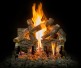 Grand Canyon Arizona Weathered Oak Charred Gas Logs Grand Canyon Arizona Weathered Oak Charred Gas Logs