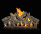 Grand Canyon Western Driftwood Outdoor See-Thru Gas Log Set