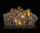 Grand Canyon Western Driftwood Outdoor See-Thru Gas Log Set